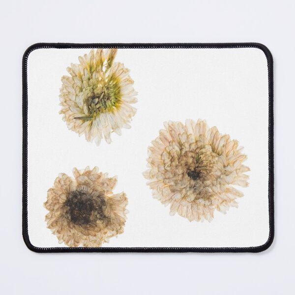 Item preview, Three dried white flowers designed and sold by di-Vera-Rosati.