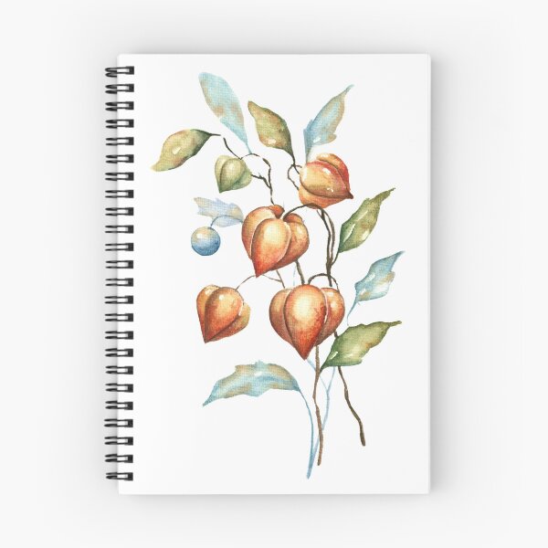 Item preview, Physalis nature watercolor art vintage designed and sold by AnjaLiaDesigns.