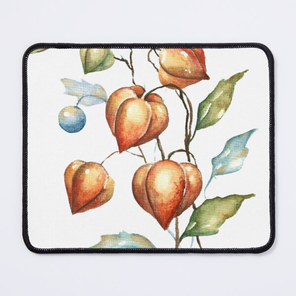 Item preview, Physalis nature watercolor art vintage designed and sold by AnjaLiaDesigns.