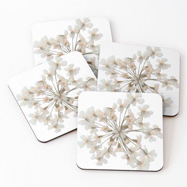 Item preview, Dried white flower designed and sold by di-Vera-Rosati.