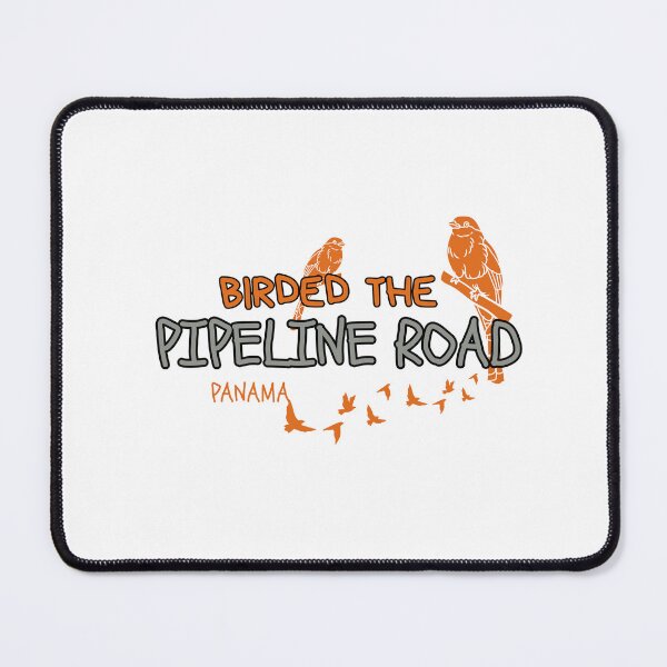 Item preview, Orange Birded Pipeline Road Panama Birding Soberania National Park designed and sold by Alvaro-Miranda.