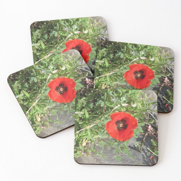 Item preview, Springtime Poppy! designed and sold by Kymbo.