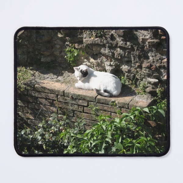 Item preview, Resting in the Ruins designed and sold by Kymbo.