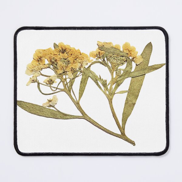 Item preview, Dried yellow flowers with leafs designed and sold by di-Vera-Rosati.