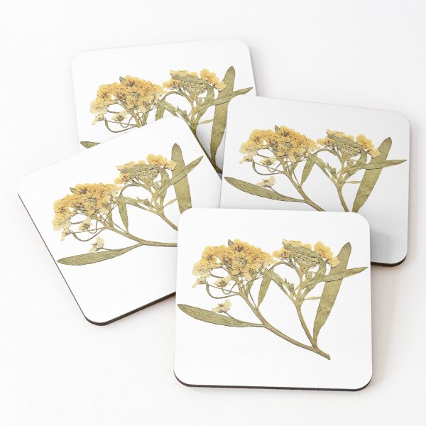 Item preview, Dried yellow flowers with leafs  designed and sold by di-Vera-Rosati.