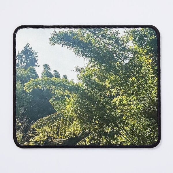 Item preview, Trees in Backlight designed and sold by Ruth Jolly.