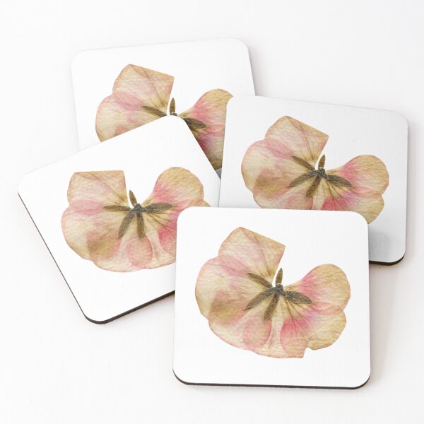 Item preview, Dried pink and white flower designed and sold by di-Vera-Rosati.