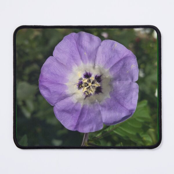 Item preview, Bellflower Photo designed and sold by Sky-99.