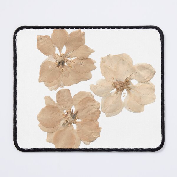 Item preview, Three dried white flowers designed and sold by di-Vera-Rosati.