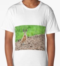 Wild hare sat staring at camera Long T-Shirt