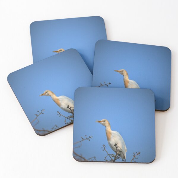 Item preview, Cattle Egret Stands Gracefully in Field designed and sold by WingsOfWonders.