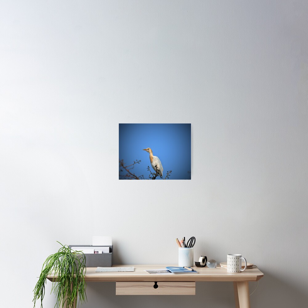 Item preview, Poster designed and sold by WingsOfWonders.