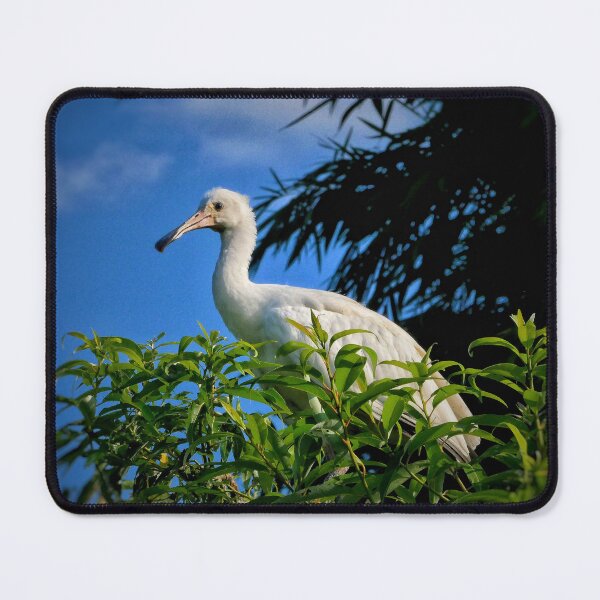 Item preview, Graceful Wading Bird Roaming the Wetlands designed and sold by WingsOfWonders.