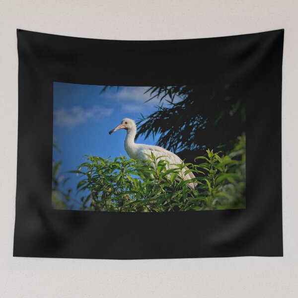 Item preview, Graceful Wading Bird Roaming the Wetlands designed and sold by WingsOfWonders.