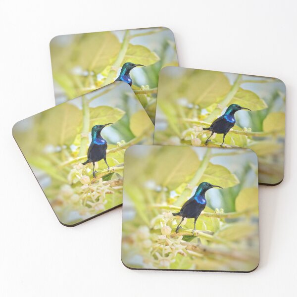 Item preview, Colorful Sunbird in Natural Light designed and sold by WingsOfWonders.