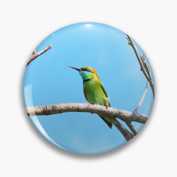 Item preview, Elegant Asian Green Bee-eater Perched designed and sold by WingsOfWonders.