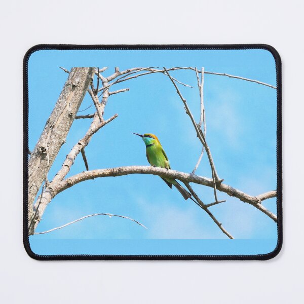 Item preview, Elegant Asian Green Bee-eater Perched designed and sold by WingsOfWonders.