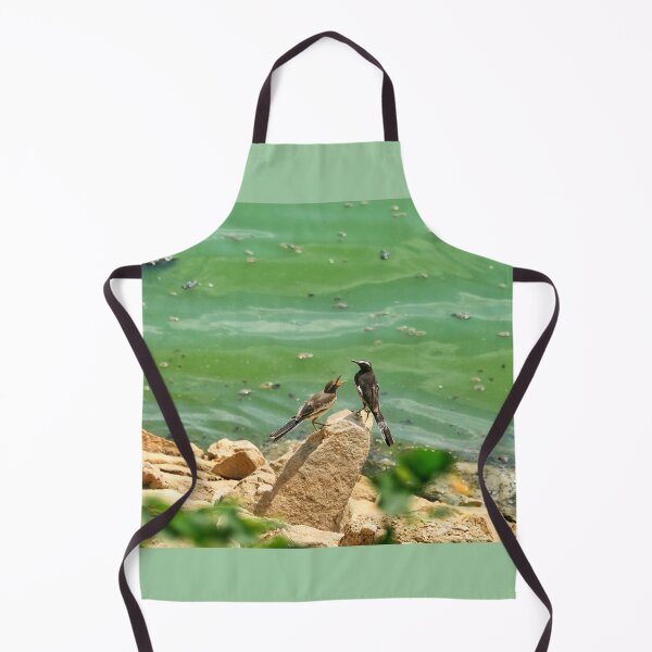Item preview, White-browed Wagtail Near Water’s Edge designed and sold by WingsOfWonders.