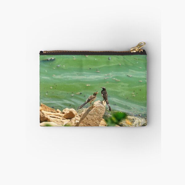 Item preview, White-browed Wagtail Near Water’s Edge designed and sold by WingsOfWonders.