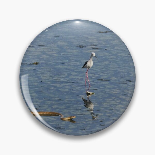 Item preview, Water Snake Gliding Through Still Water designed and sold by WingsOfWonders.