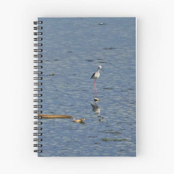 Item preview, Water Snake Gliding Through Still Water designed and sold by WingsOfWonders.