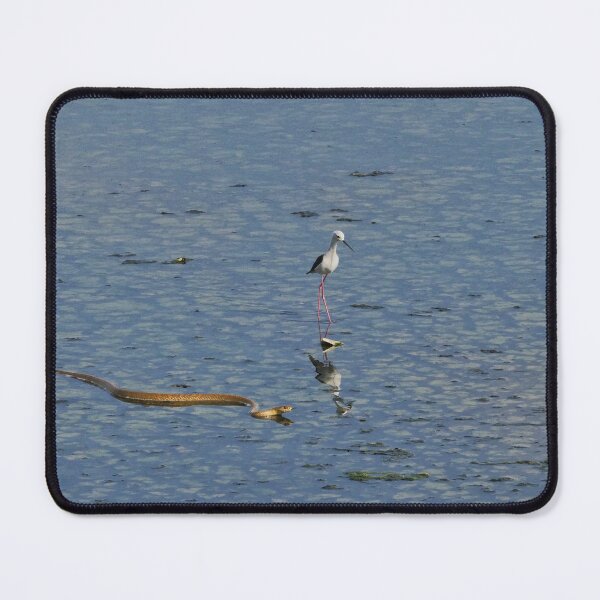 Item preview, Water Snake Gliding Through Still Water designed and sold by WingsOfWonders.