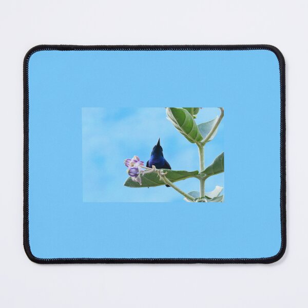 Item preview, Colorful Sunbird in Natural Light designed and sold by WingsOfWonders.