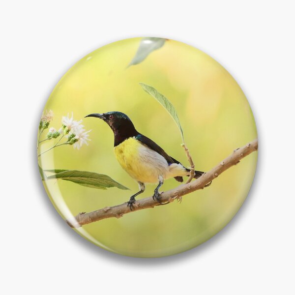 Item preview, Stunning Purple Sunbird in Bright Plumage designed and sold by WingsOfWonders.