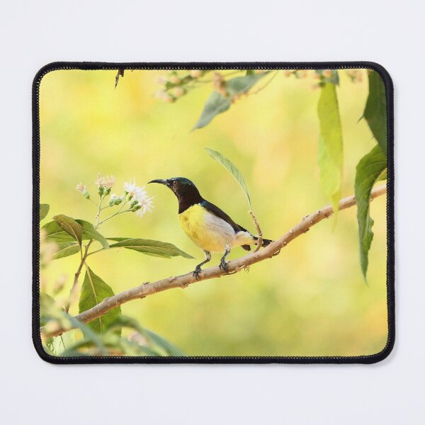 Item preview, Stunning Purple Sunbird in Bright Plumage designed and sold by WingsOfWonders.