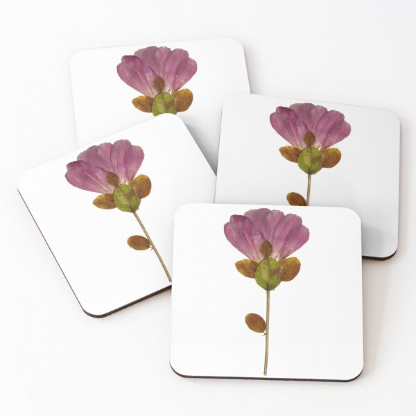 Item preview, Dried fucsia flower designed and sold by di-Vera-Rosati.