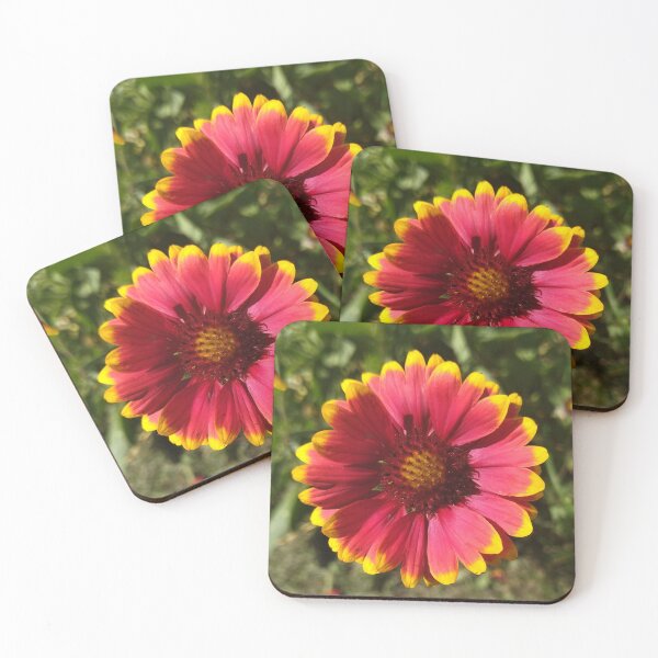 Item preview, Gaillardia Flower designed and sold by Sky-99.