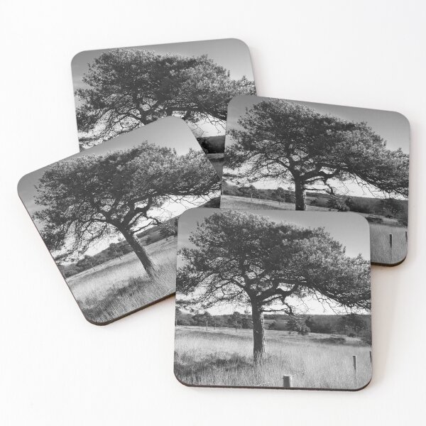 Item preview, Tree in Black and White at Little Haldon Devon designed and sold by Craig Reeves Photography.