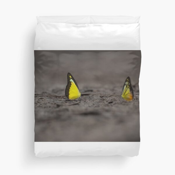 Item preview, This image captures a brightly colored butterfly settled on rugged terrain, offering a striking contrast between fragility and raw earth. designed and sold by DezibyDang.