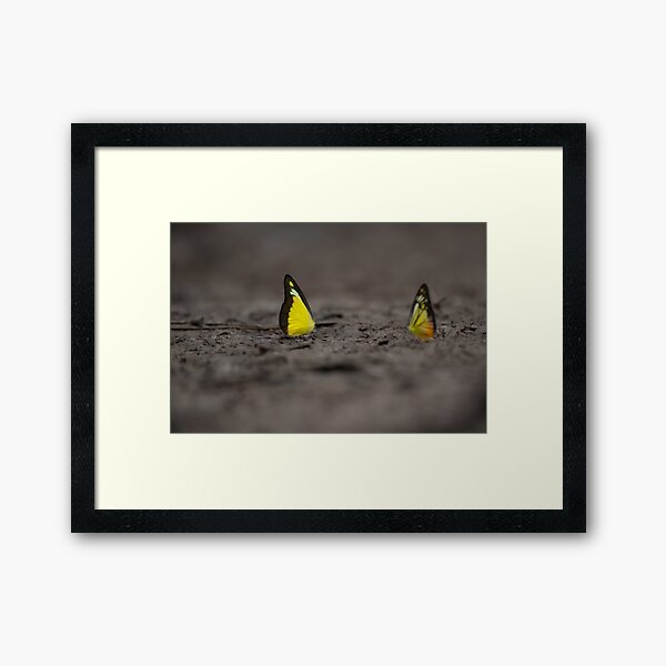 Item preview, This image captures a brightly colored butterfly settled on rugged terrain, offering a striking contrast between fragility and raw earth. designed and sold by DezibyDang.