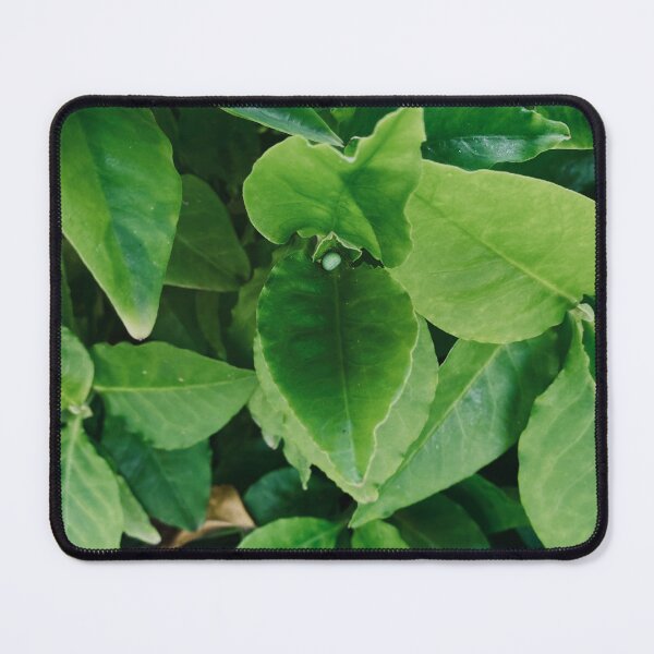Item preview, Greener designed and sold by HejLove.