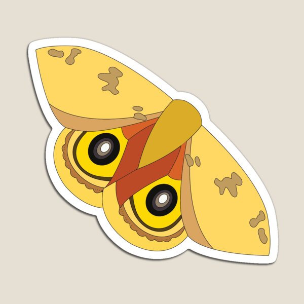 National Moth Week - just the Io moth Magnet