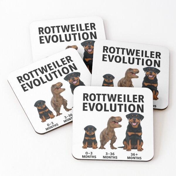 Item preview, Rottweiler Evolution designed and sold by 123ks.
