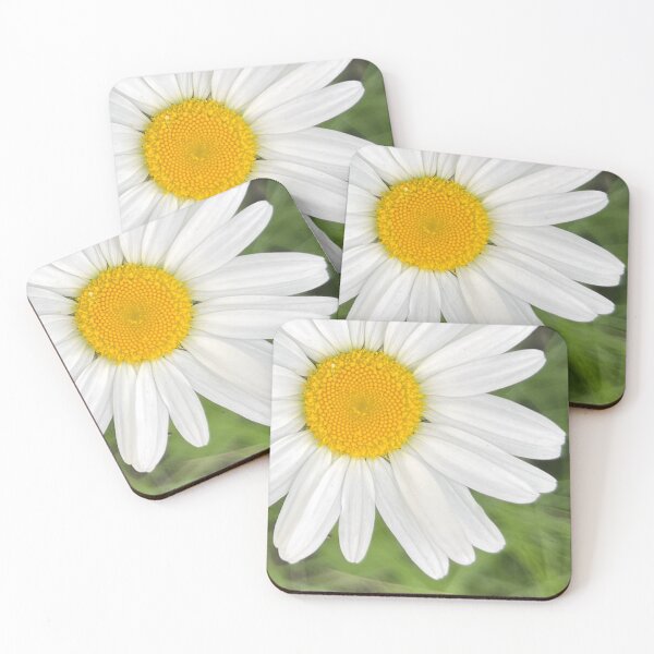Item preview, A Perfect, Radiant Daisy, Shining Bright! designed and sold by Lana Magnolia.