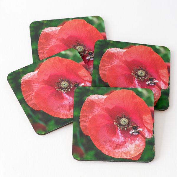 Item preview, Poppy and Bee designed and sold by Tom McPherson Photography.