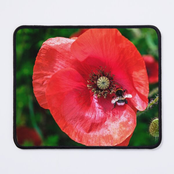 Item preview, Poppy and Bee designed and sold by Tom McPherson Photography.