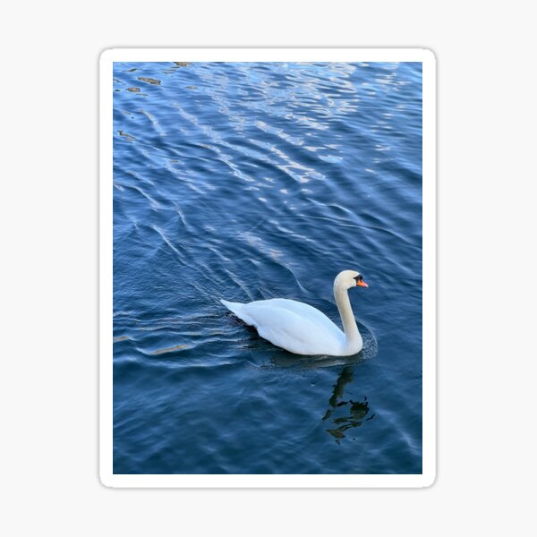 Item preview, cygne blanc designed and sold by madebylouisa.