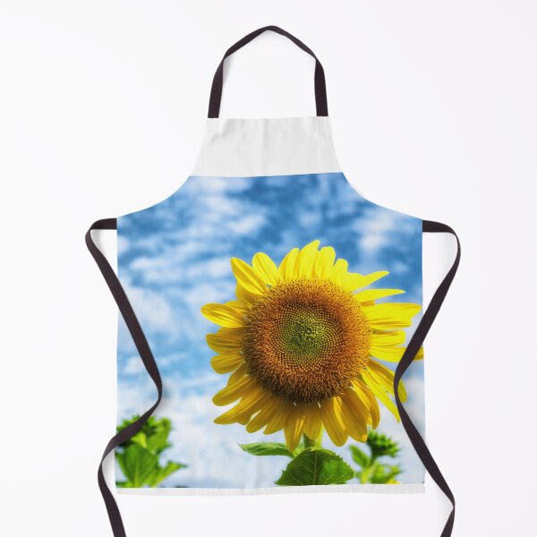 Item preview, The photo captures vibrant sunflowers blooming across a sunny farm field. designed and sold by DezibyDang.