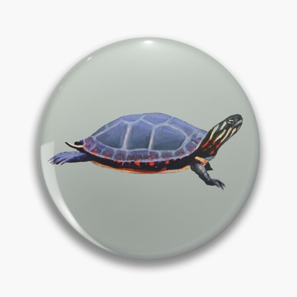 Item preview, Midland Painted Turtle 2 painting (no background) designed and sold by Emily Bickell.