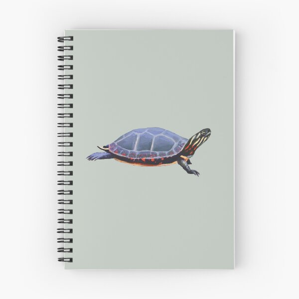 Item preview, Midland Painted Turtle 2 painting (no background) designed and sold by Emily Bickell.