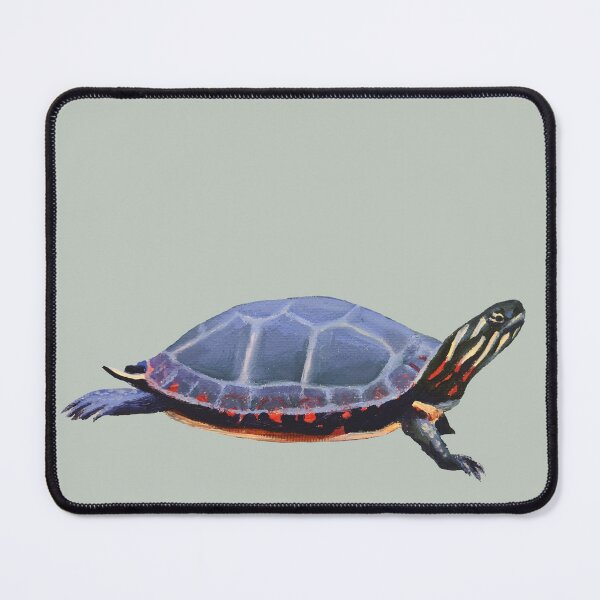 Item preview, Midland Painted Turtle 2 painting (no background) designed and sold by Emily Bickell.