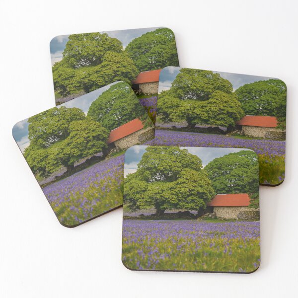 Item preview, Emsworthy Barn in a Field of Bluebells Dartmoor Devon designed and sold by Craig Reeves Photography.