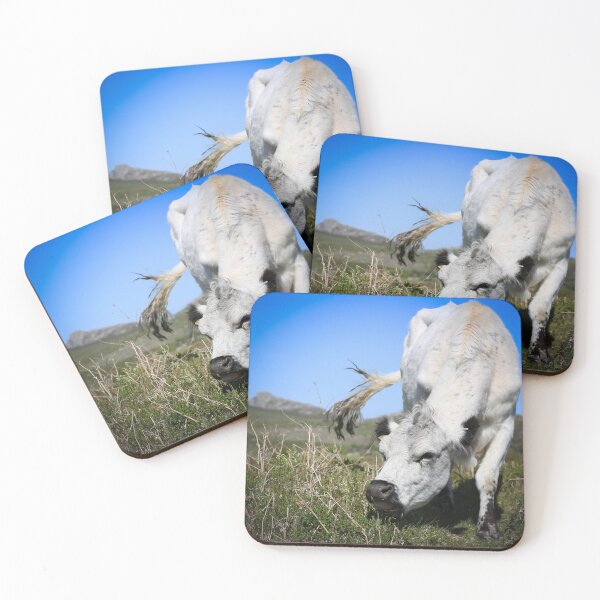 Item preview, White Cow of the Moors designed and sold by Craig Reeves Photography.
