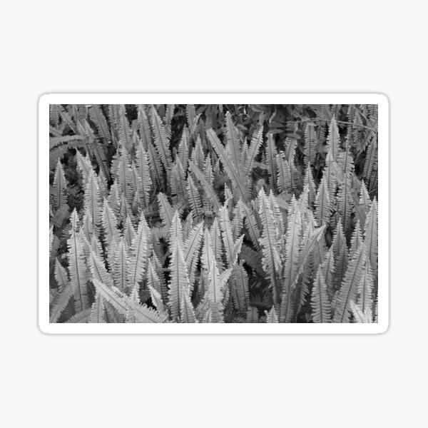 Item preview, texture designed and sold by photos33.