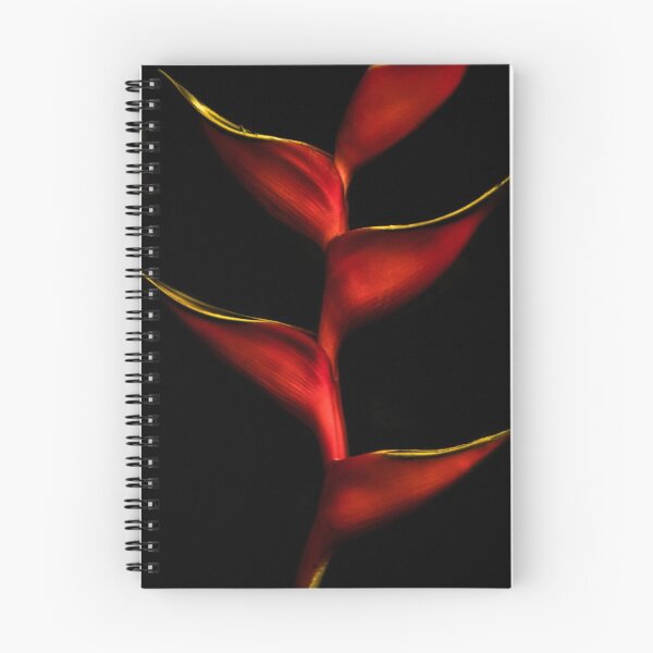 Item preview, Heliconia is breaking loose designed and sold by alan shapiro.