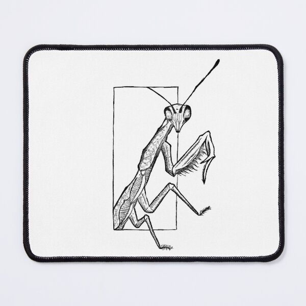 Item preview, mantis, praying mantis, stick insects, bugs, animal designed and sold by Half Mess.